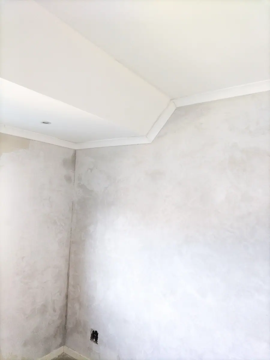 Plaster and damp repairs by Ri-Han Construction, photo 7
